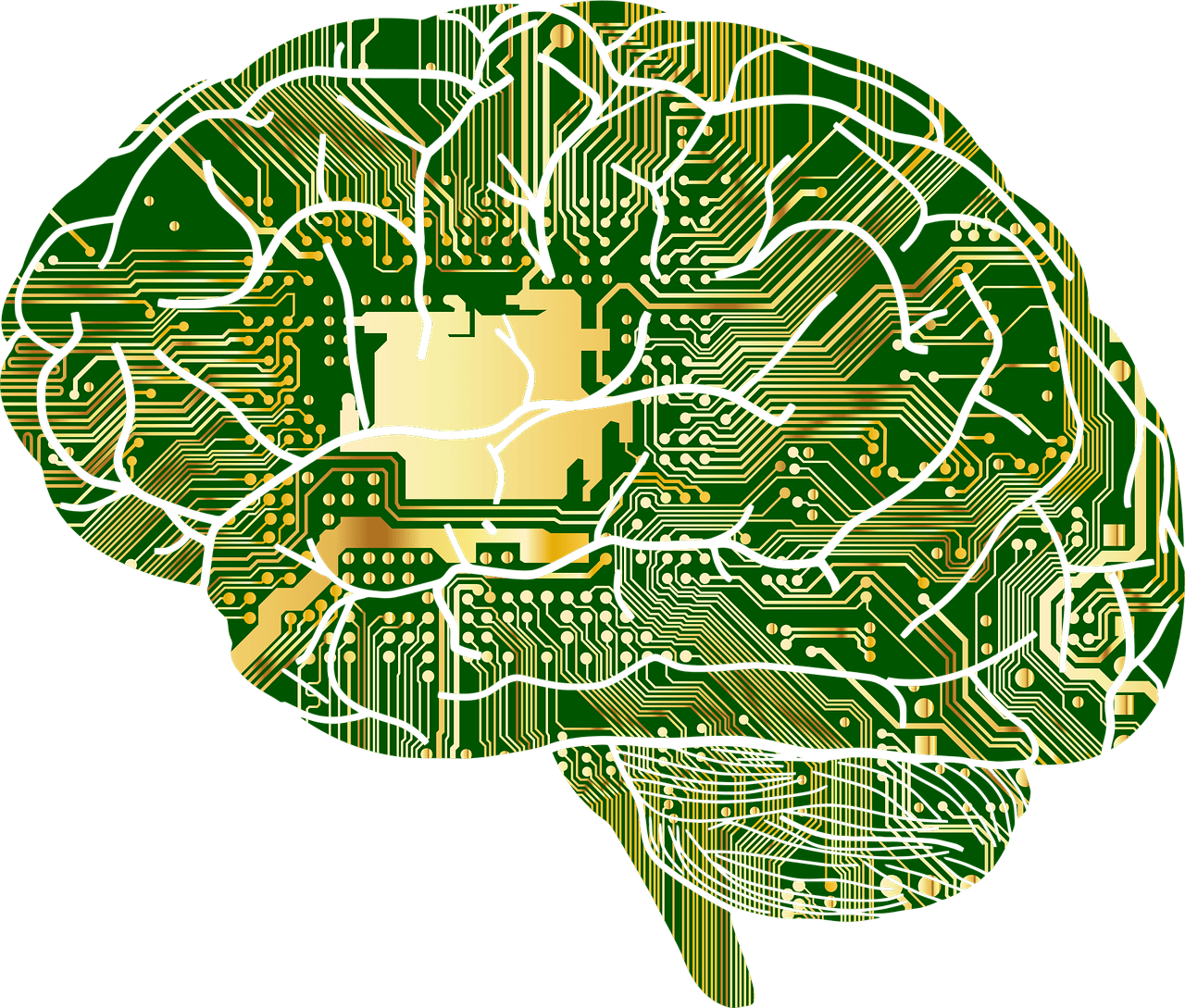 entdecken sie die neuesten fortschritte in brain-computer-interfaces, die direkte kommunikation zwischen gehirn und maschine ermöglichen und vielfältige anwendungen in medizin, technik und forschung eröffnen.