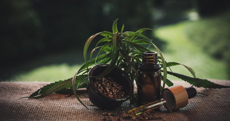 CBD Sport: So steigern Sie Regeneration und Leistung natürlich